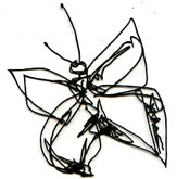 Scribble Butterfly - Click Image to Close