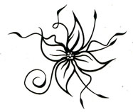 Spider Flower BLACK - Click Image to Close