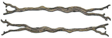 Twigs - Wood Grain - Click Image to Close